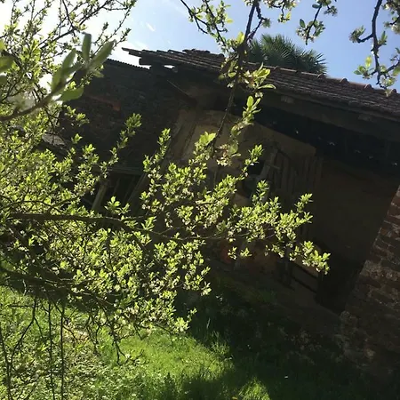 I 5 Sensi Country Casa vacanze Brusnengo