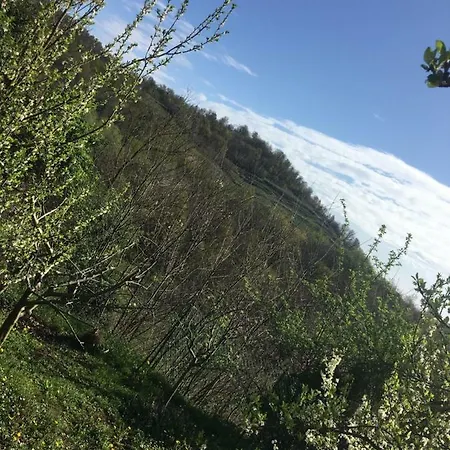 Holiday home I 5 Sensi Country Brusnengo